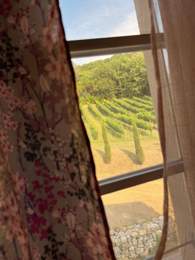 B&B Il Vecchio Molino Куерчанела Екстериор снимка